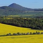 Milesovka und Ostry am Morgen im Böhmischen Mittelgebirge