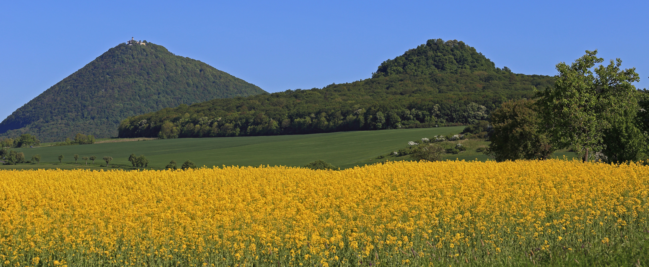 Milesovka und sein Vorposten  Ostry im schönsten Frühling