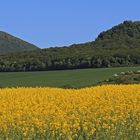 Milesovka und sein Vorposten  Ostry im schönsten Frühling