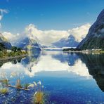 Milford Sound #04