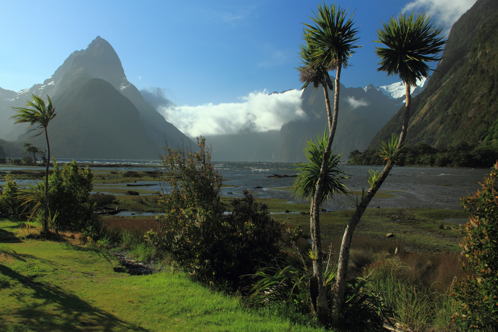 Milford Sound