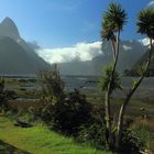 Milford Sound