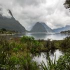 Milford Sound 1