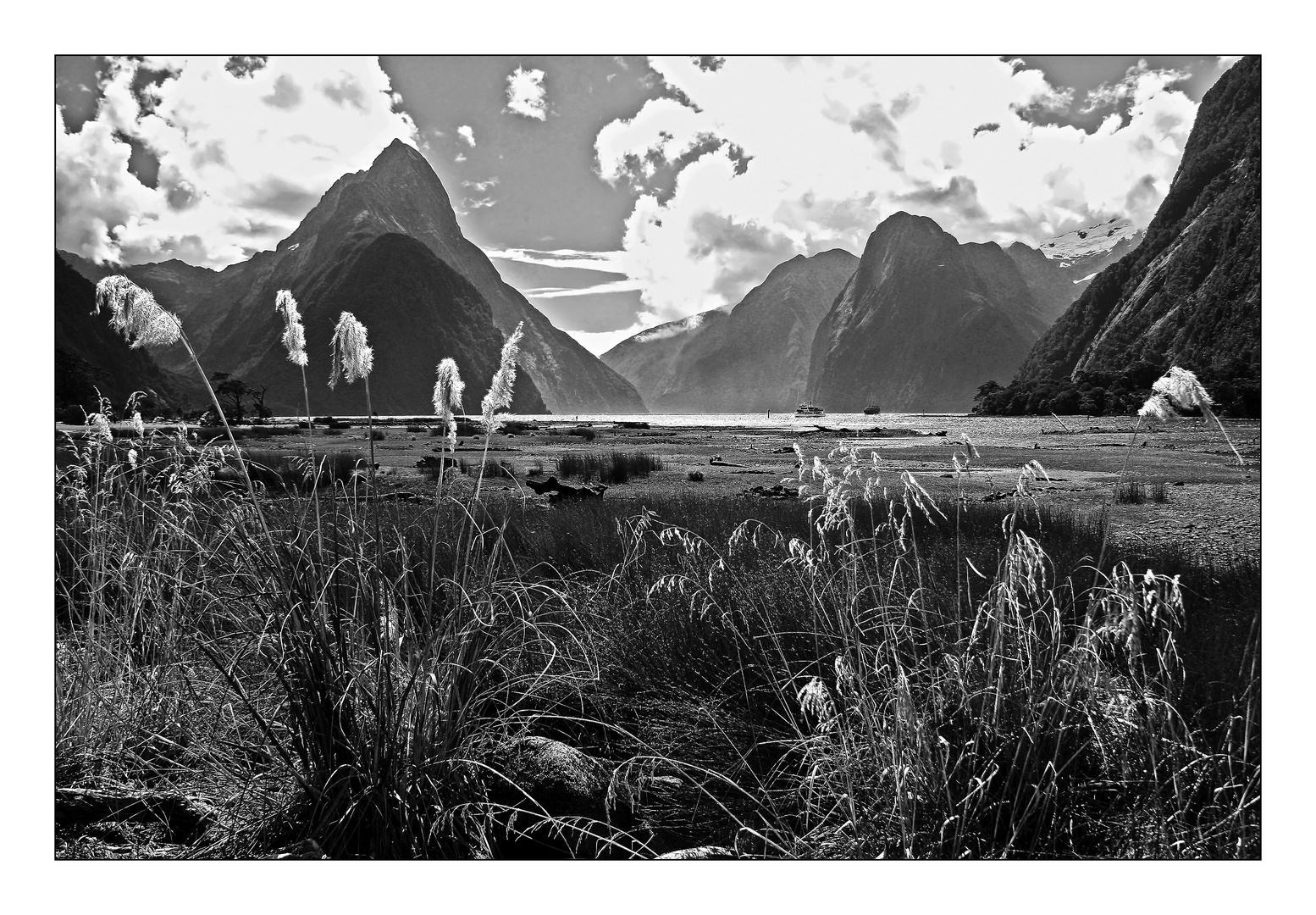 Milford Sound # 1