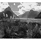 Milford Sound # 1