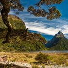 Milford Sound