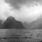 Milford Sound #3