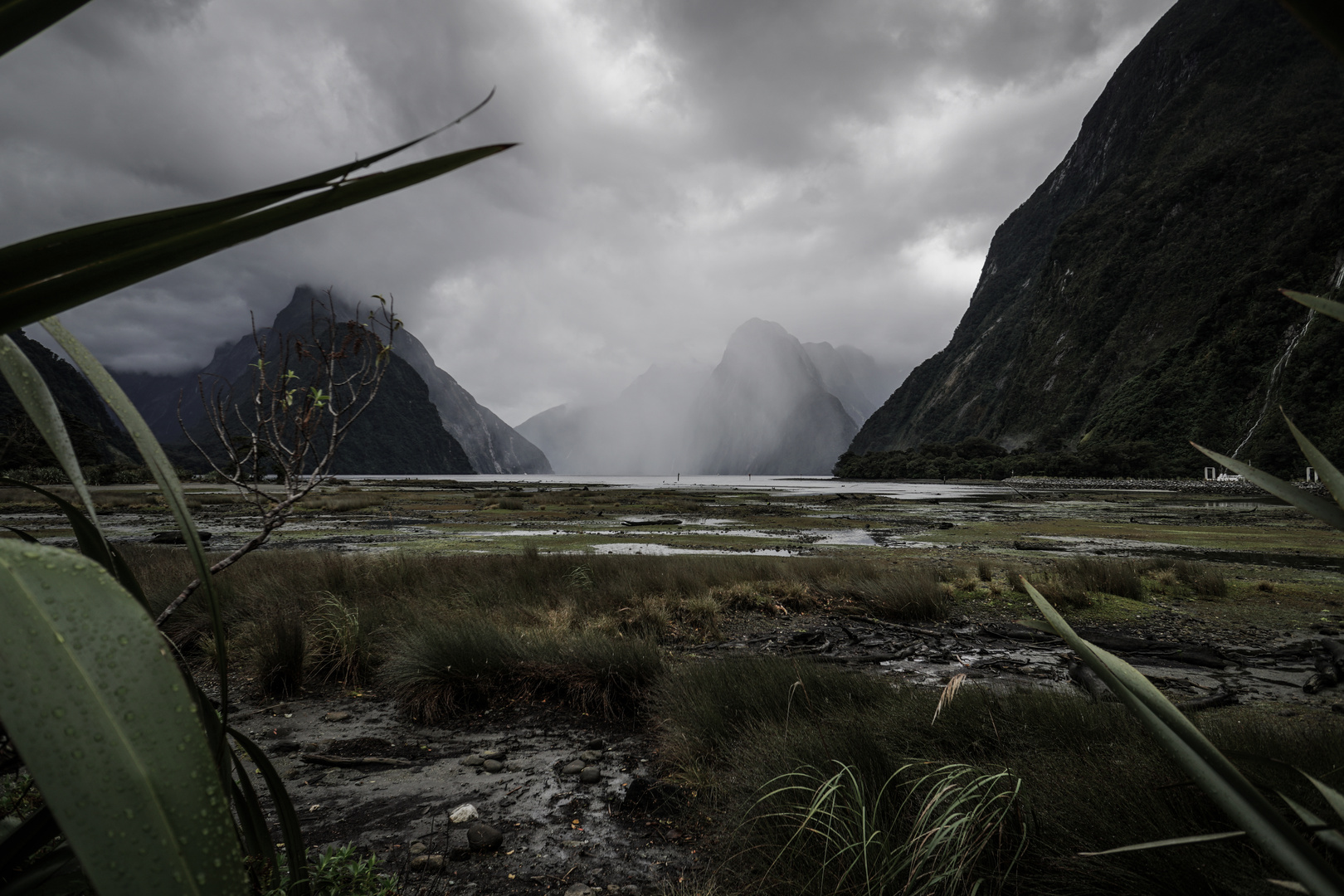 Milford Sound