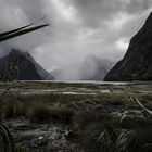 Milford Sound