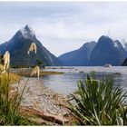 Milford sound