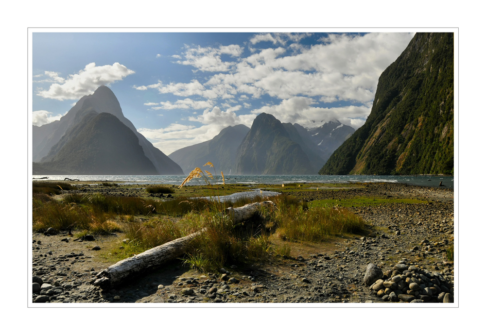 MILFORD SOUND