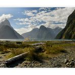 MILFORD SOUND