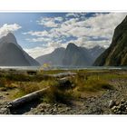 MILFORD SOUND