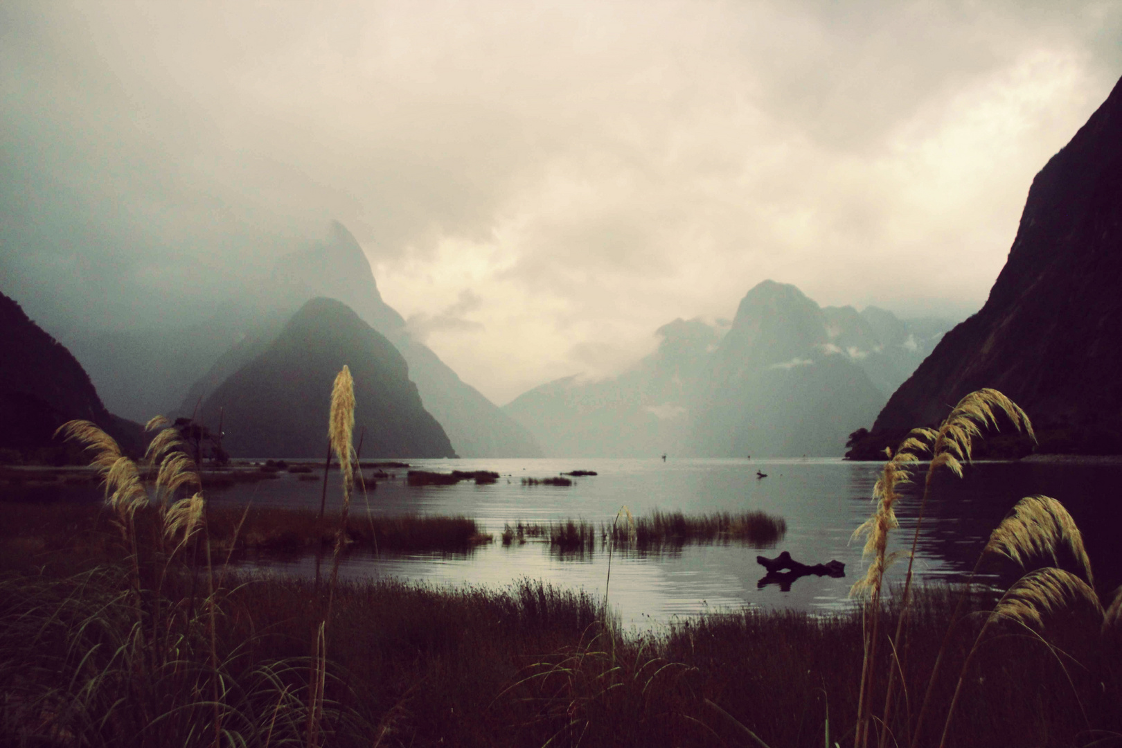 Milford Sound