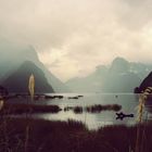 Milford Sound