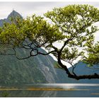 Milford Sound