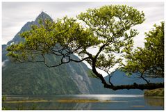 Milford Sound