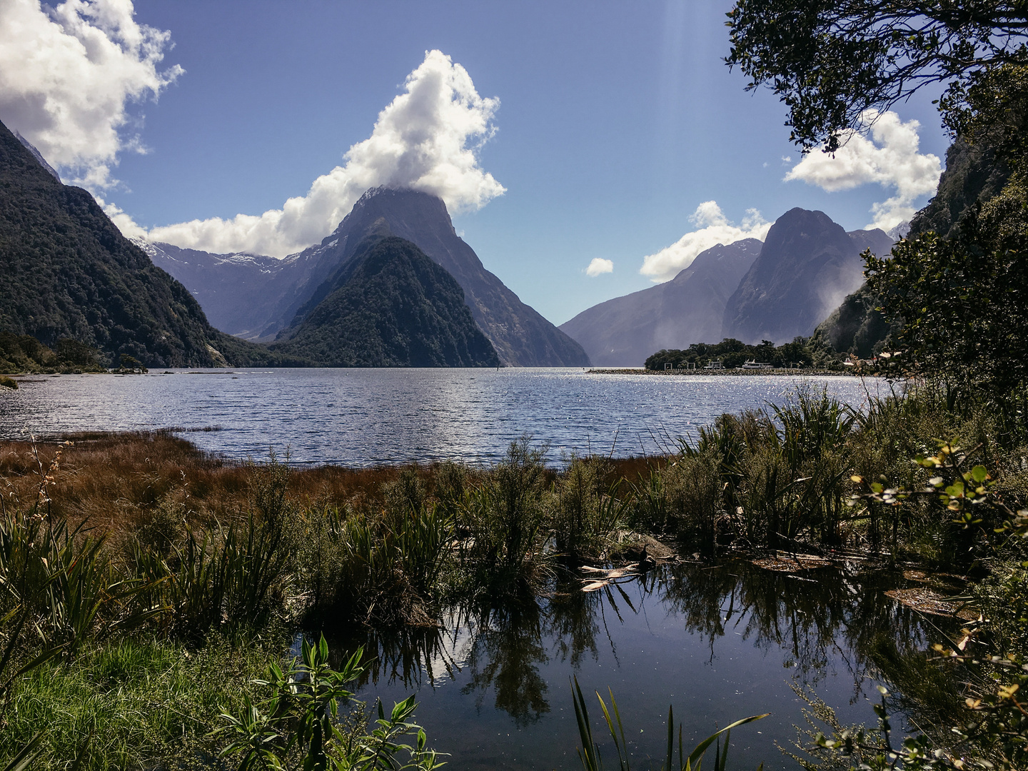 Milford Sound 