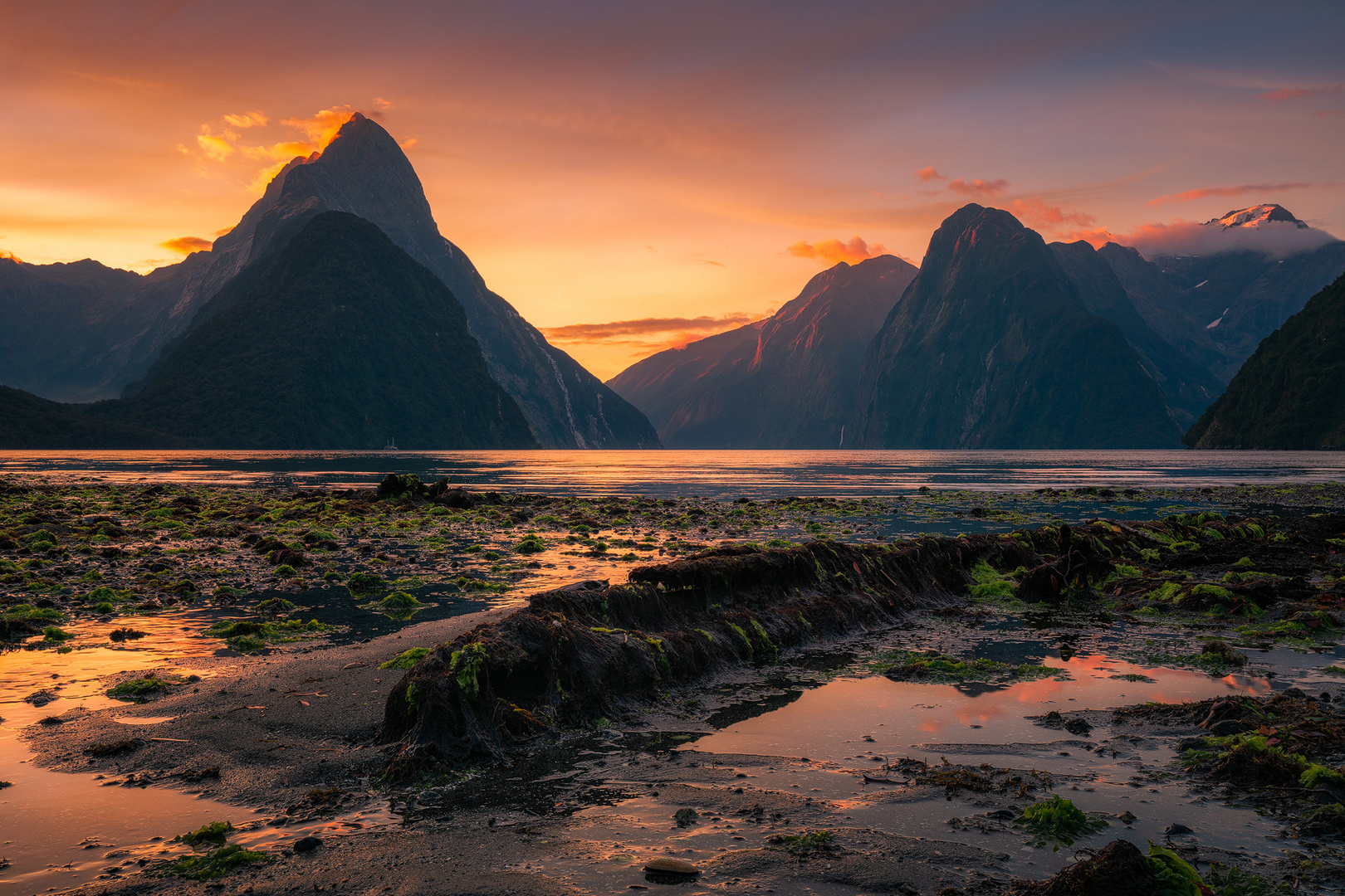 Milford Sound