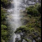 Milford Sound