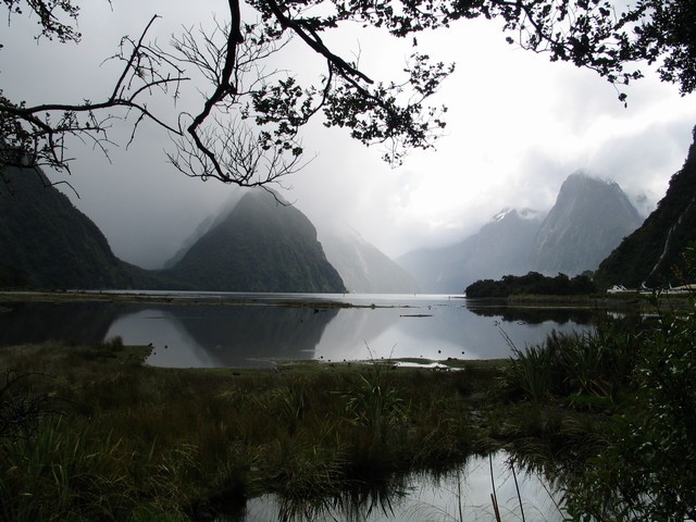 Milford Sound