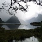 Milford Sound