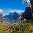 Milford Sound