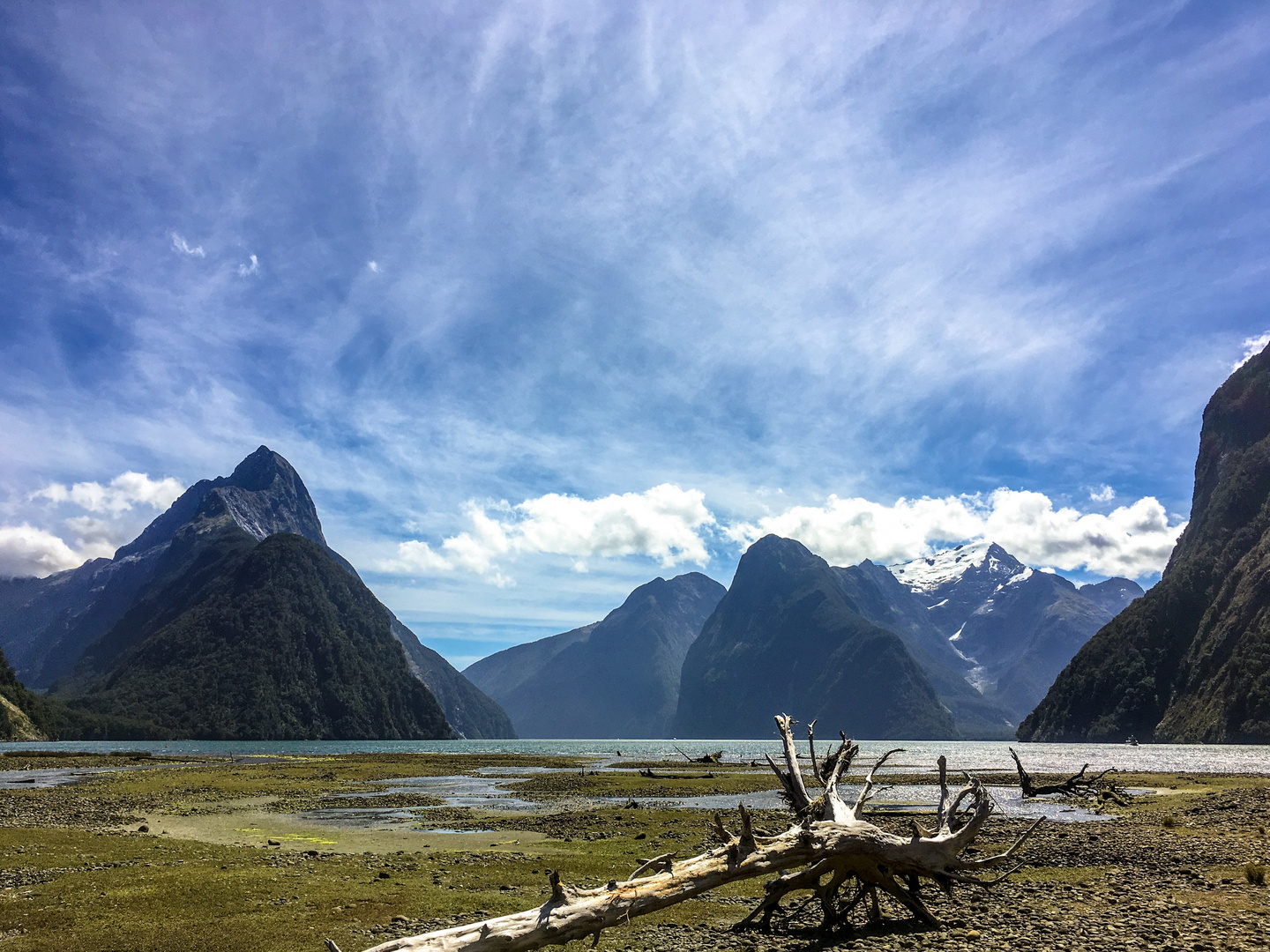 Milford Sound