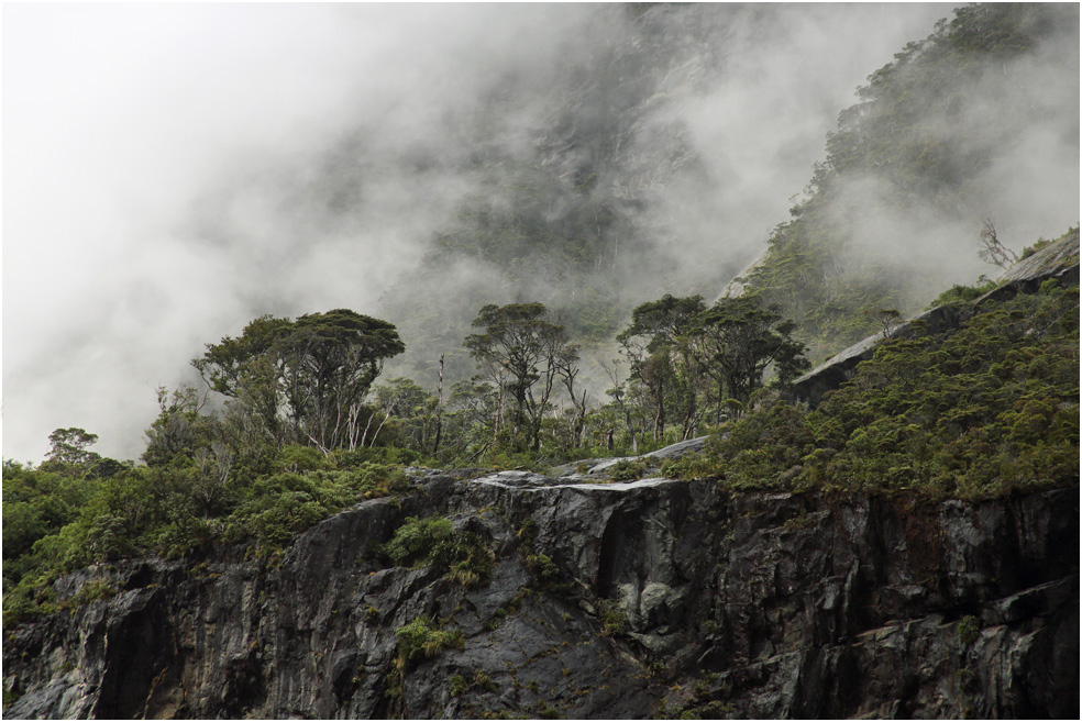 Milford Sound