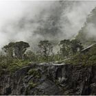 Milford Sound