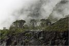 Milford Sound von Detlef. Weber. 