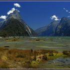 " Milford Sound "