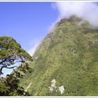 Milford Sound around