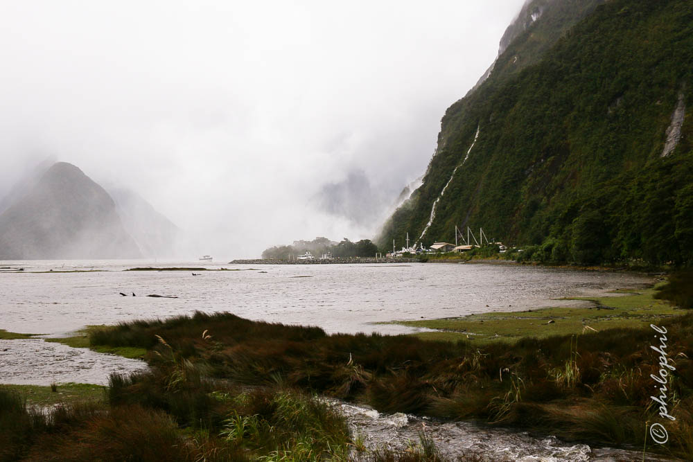 Milford Sound bei Regen