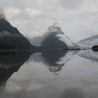 Milford Sound die 103te :-)