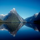 Milford Sound die Hundertste :-)