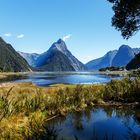 Milford Sound