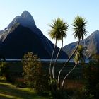 Milford Sound ...