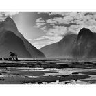 MILFORD SOUND