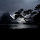 Milford Sound Eingang