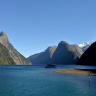 Milford Sound: Fjord