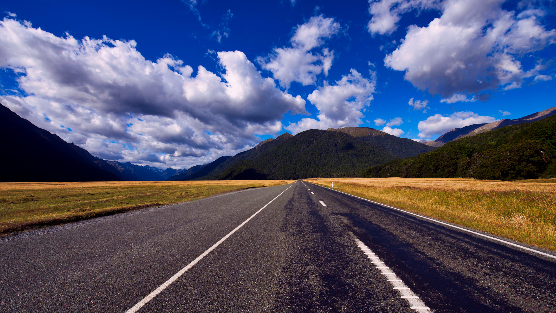 Milford Sound Highway