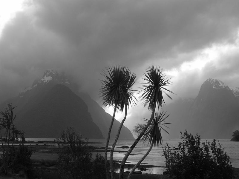 milford sound II