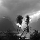 milford sound II