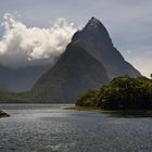 Milford Sound II - Fiordland N.P. - Neuseeland - Südinsel