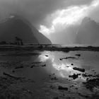 milford sound III