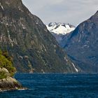 Milford Sound III - Fiordland N.P. - Neuseeland - Südinsel