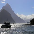 Milford Sound im Gegenlicht