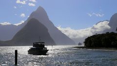 Milford Sound im Gegenlicht