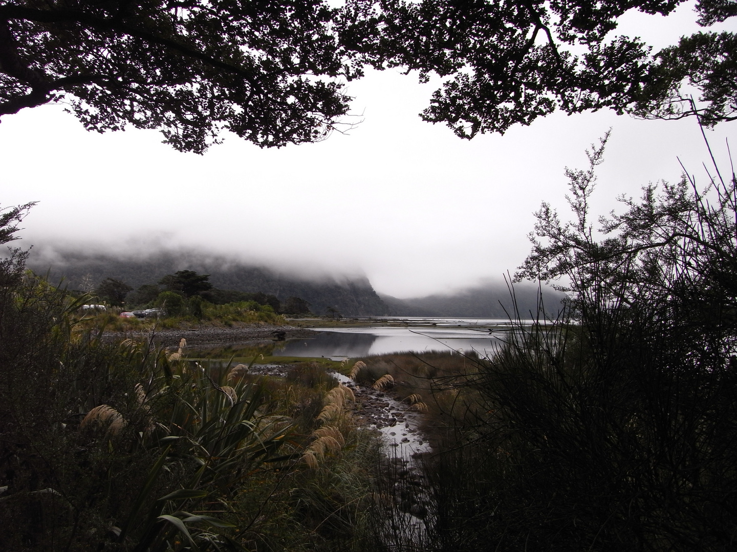 Milford Sound im Nebel